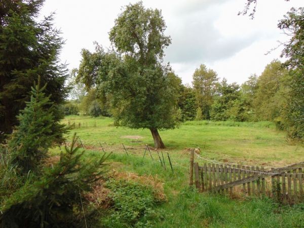 Country House, Outbuilding, Land, River - 2
