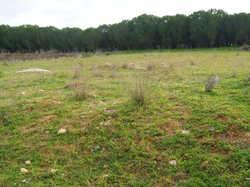 Agricultural land-Carvoeiro-Algarve-for.. - 2
