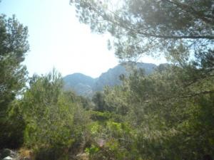 Colonia de San Pedro, plot for..