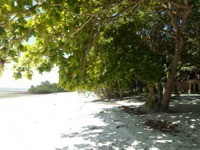For Sale Wete Pemba Tanzania Real Estate - 2