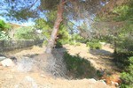 - Land - For Sale