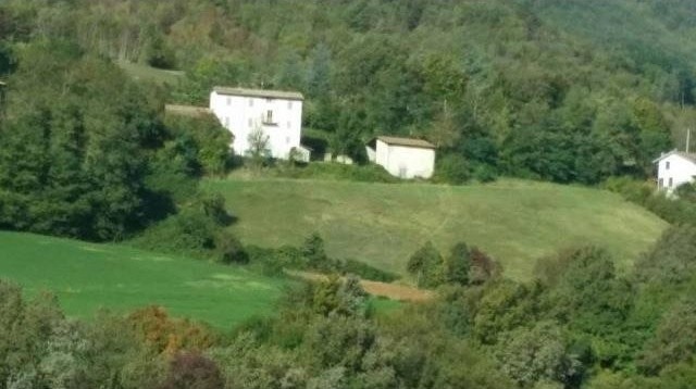 7 bedroom Farm For Sale: Neviano degli..