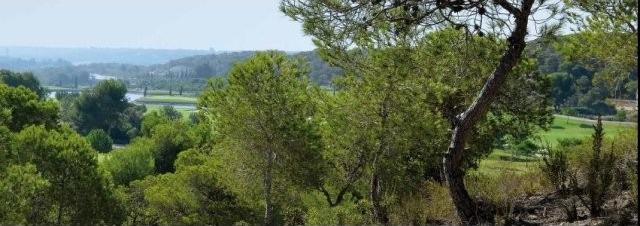 Plots for sale in Campoamor
