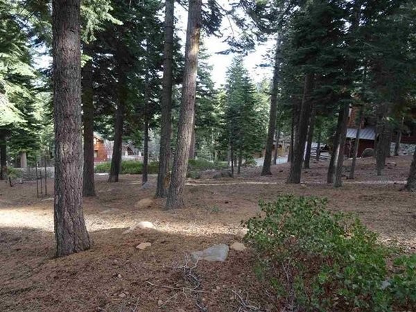 Land For Sale: Truckee, California - 2