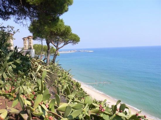 Building Plots (Arenys De Mar)