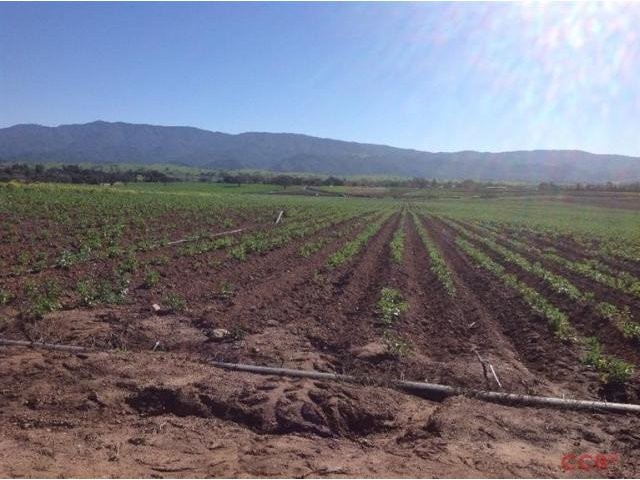 Land For Sale: 0 Roblar Ave, Santa Ynez - 2