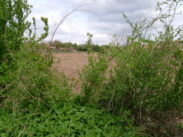 Land in Vedrina, Dobrich - 2