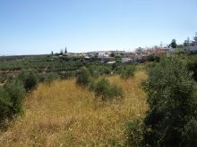 Property For Sale West Crete - 2