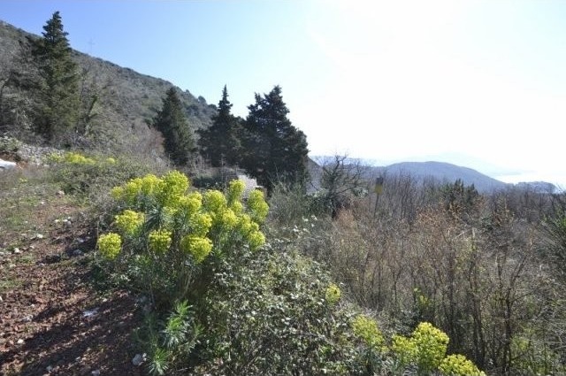 Land in Maine, Budva - 2