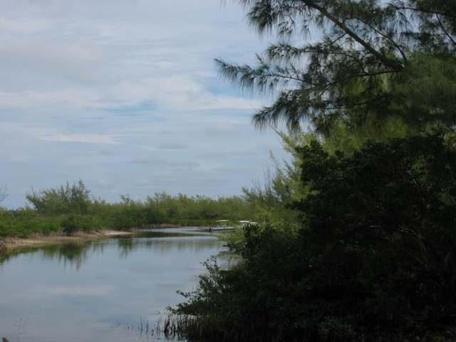 Singlefamilyvacant - Level building lot.. - 2