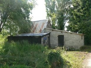 Rural Property with Good Potential - 2