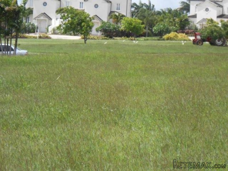 Property For Sale:Apes Hill Polo Field..