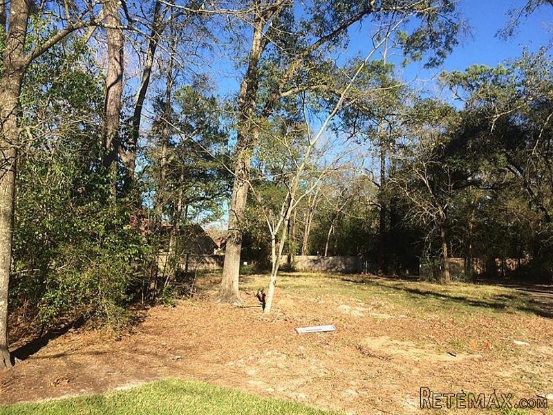 Land For Sale: 2 Saddlehorn Lane.. - 2