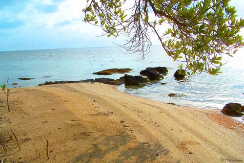 25 Acre Island For Sale 1 Mile Away..