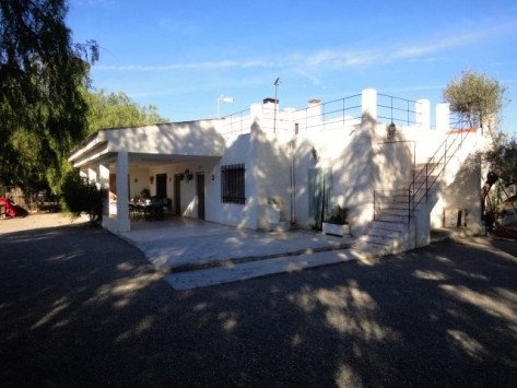 Large Finca Crevillente - 2