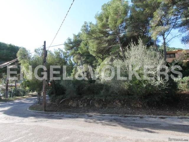 Plot in Costa de Canyamel