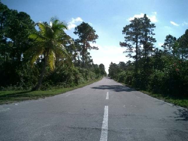 Singlefamilyvacant - Large corner lot.. - 2