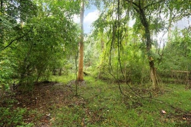Land For Sale: Home