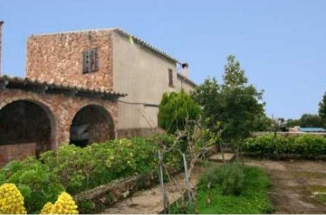 Old Finca More Than 100 Years Old.. - 2