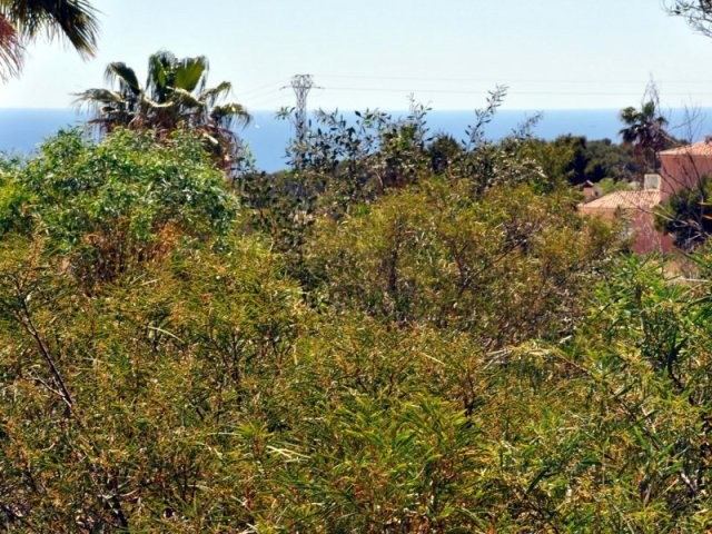 Plot in Moraira