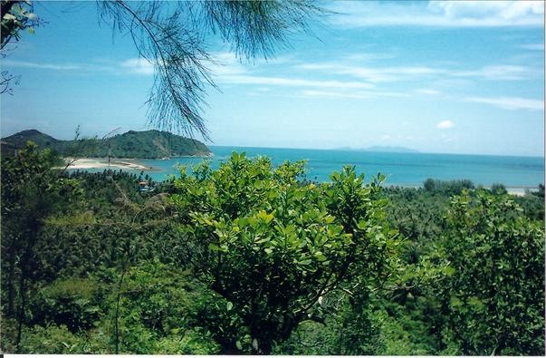 Koh Phangan 3 Rai plot of mountain land..