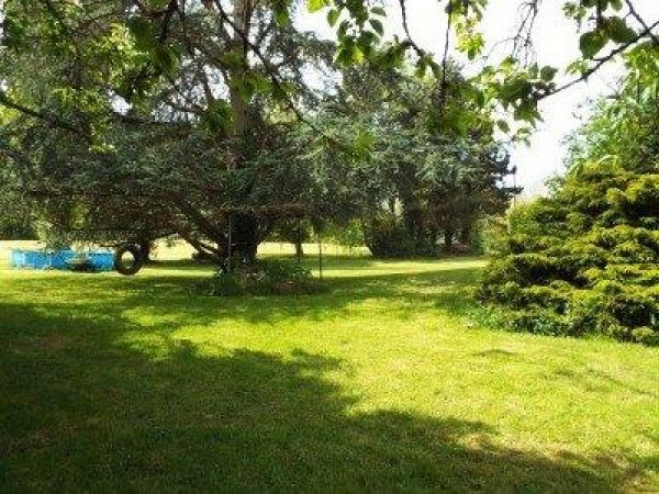 Nice House with Basement - 2