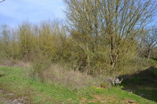Village Building Plot