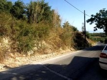 West Crete Property For Sale - 2