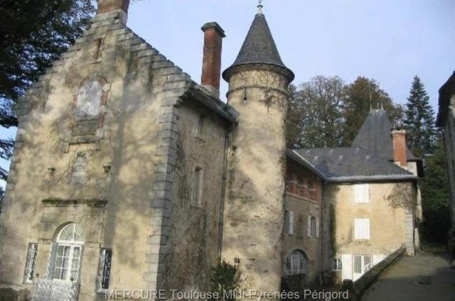 8 bedroom Castle For Sale: 81000 TARN - 2