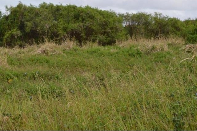 Property For Sale: Green Point Lot.. - 2