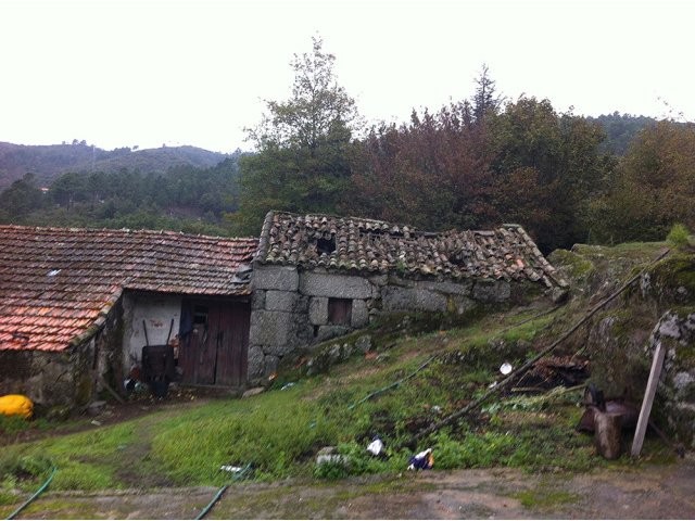 Small Farm
