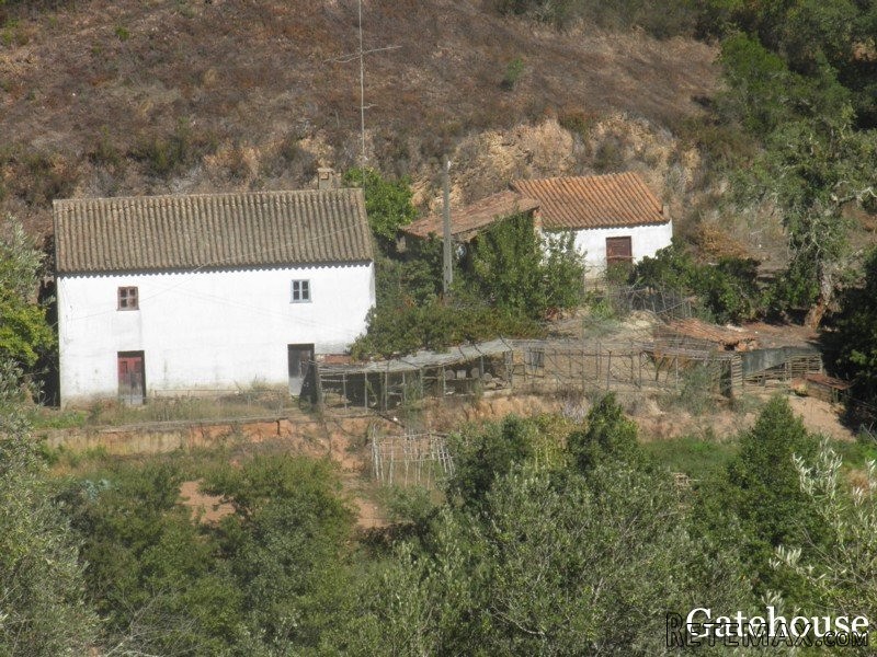 Portugal Small Farm For Sale In.. - 2