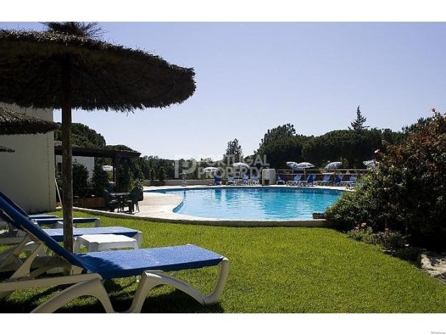 Luxury 1 Bedroom Apartment