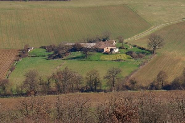 Nr Beaumont-de-Lomagne (Tarn & Garonne)..