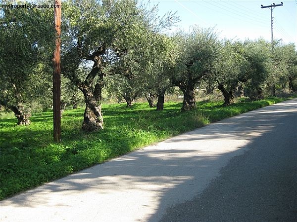 Plot only 250meters away from beach - 2