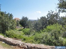 Huge Building Plot For Sale At Vamos..