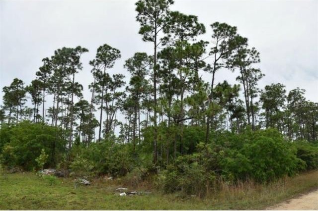 Land For Sale: Curtis Rd, Freeport, OC..