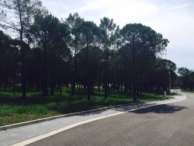 BAGNOLS EN FORET - Plot of land - 236..