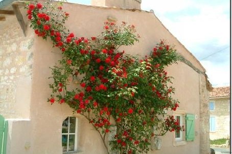 Stone House For Sale St Jean D Angely - 2