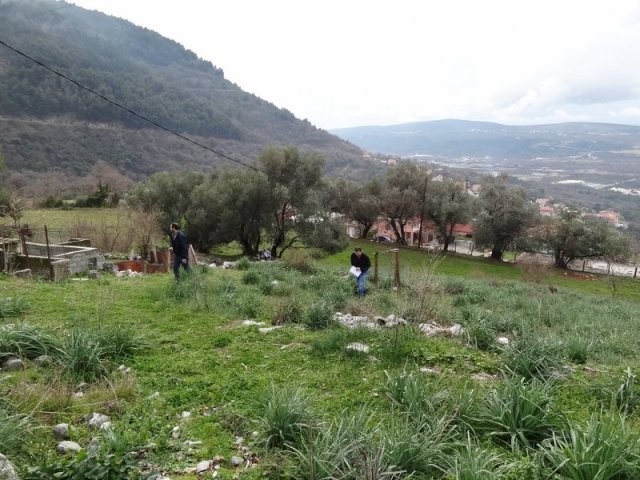Land in Kavač, Kotor