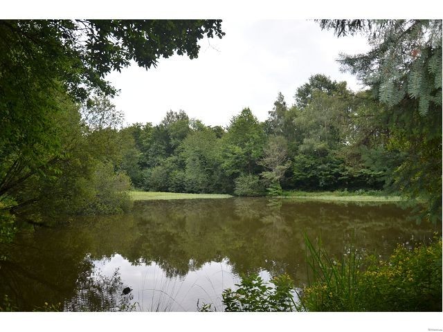 Vente Terrain St Priest Les Fougeres - 2
