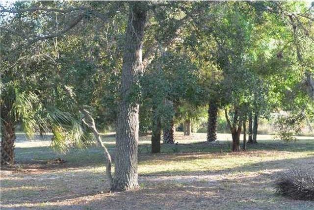 Land For Sale: 237 OAK HAMMOCK CIR - 2