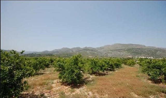 Plot For Sale Orba - Ref: 1621