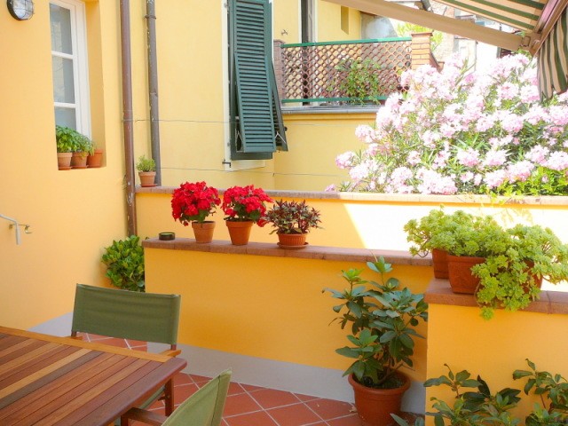 Village/town House - For Sale - Lucca..