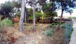 - Land - For Sale