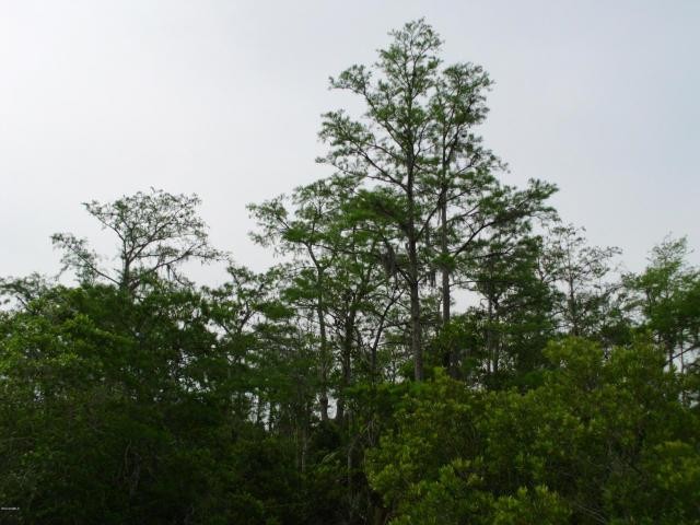 Land For Sale: Tbd Govan - 2