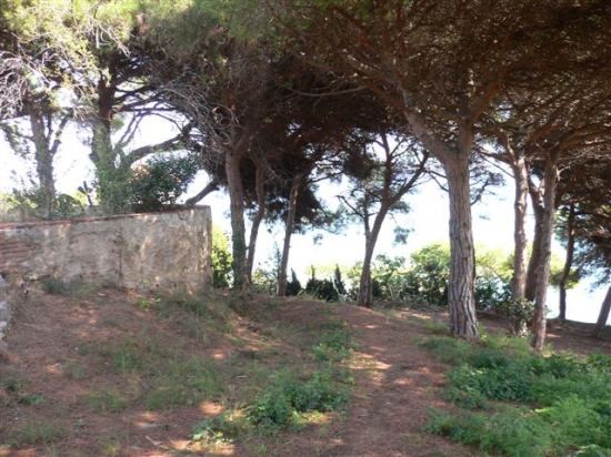 Building Plots (Arenys De Mar) - 2