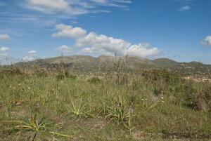 Capdepera, rural plot with views to the.. - 2