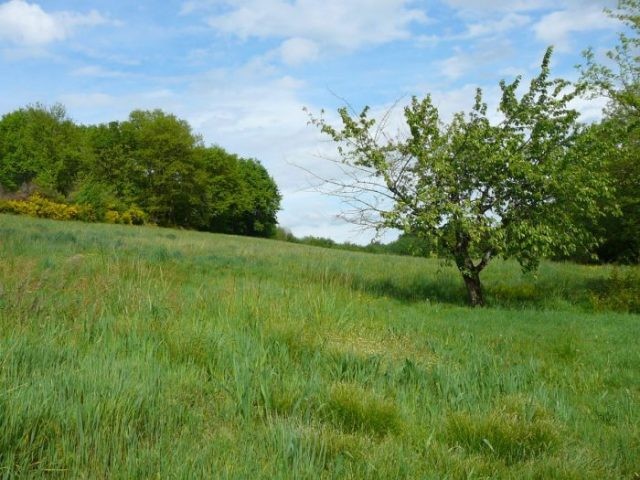 Country House & Outbuildings, 2 Hectares - 2