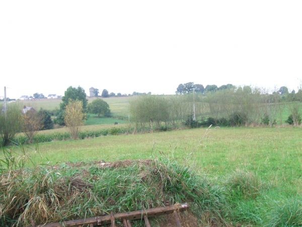 Country House with 2 Acres - 2